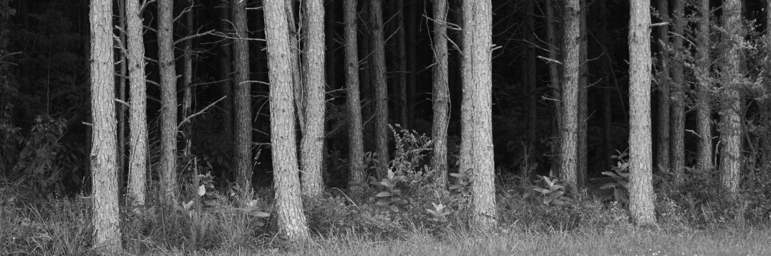 CathyLaDuke's profile banner image