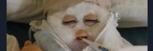 lilfyfellow Profile Banner