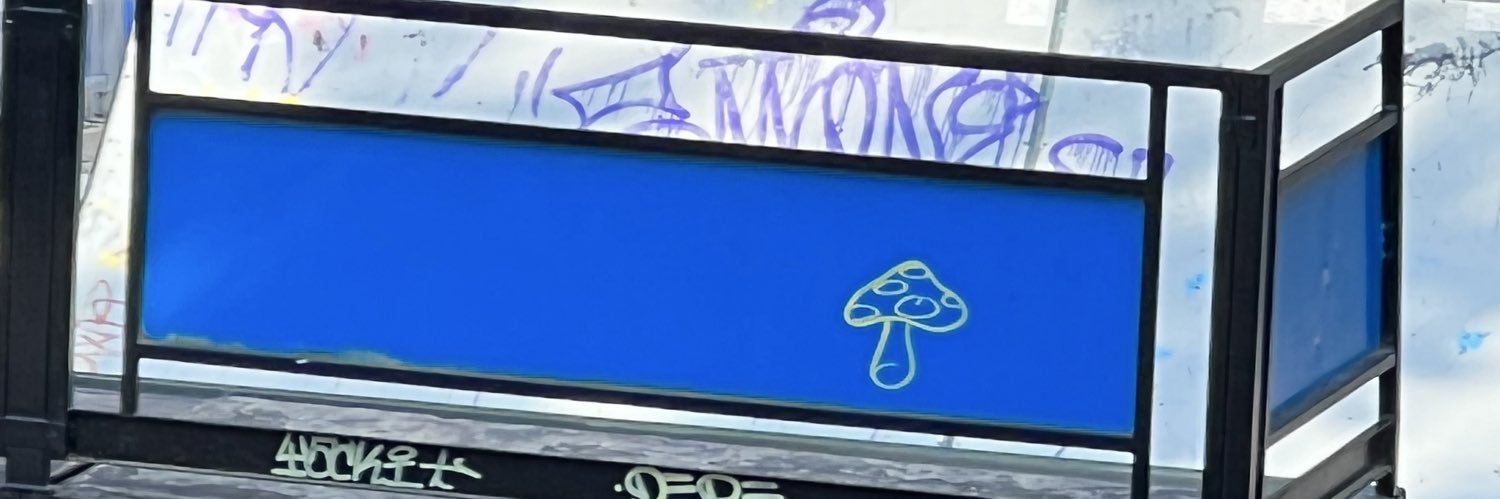 silviparedess's profile banner image
