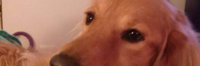 danielopezfore's profile banner image