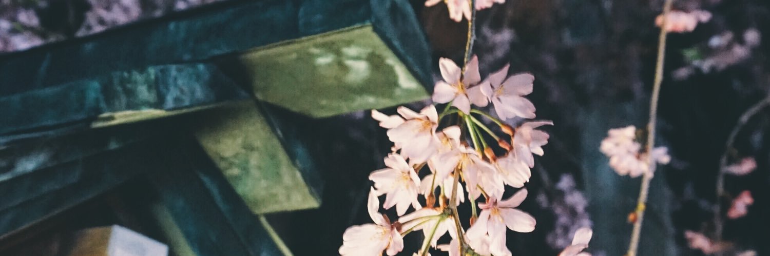 JustC1C's profile banner image
