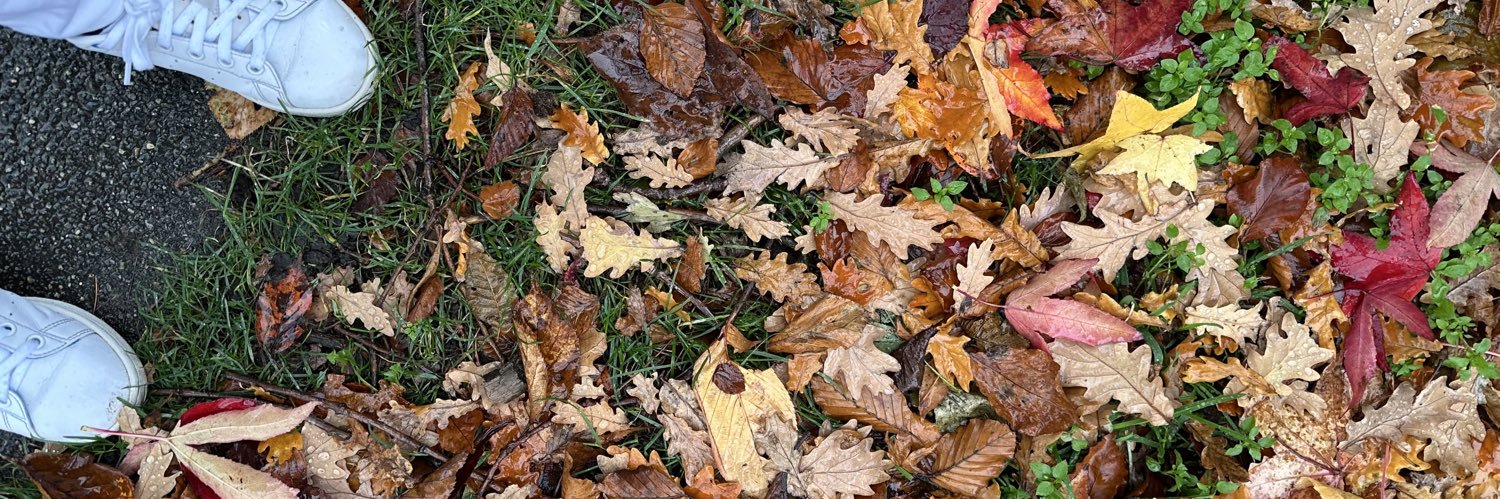 eeetidonski's profile banner image
