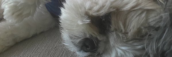 ZayJohnson08 Profile Banner