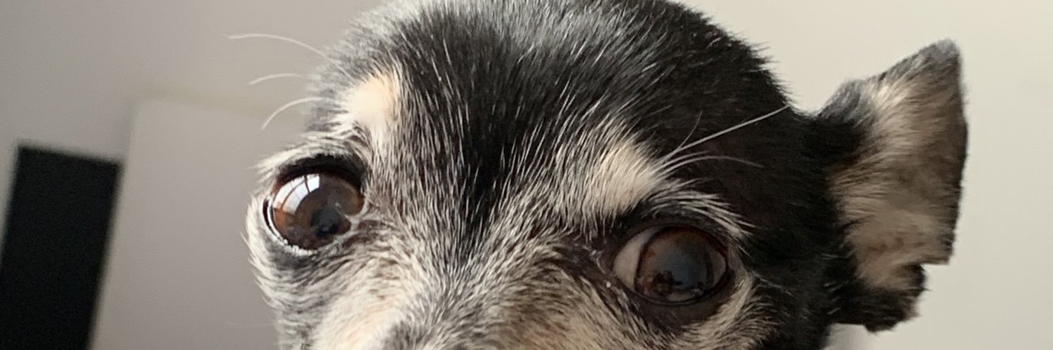 BorisNotDJ's profile banner image