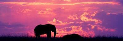 kykybradner's profile banner image