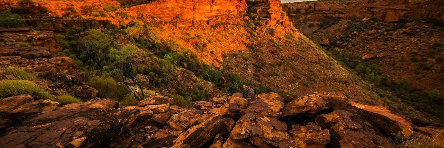 tomthabo's profile banner image