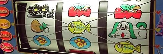 ヤリイカS banner