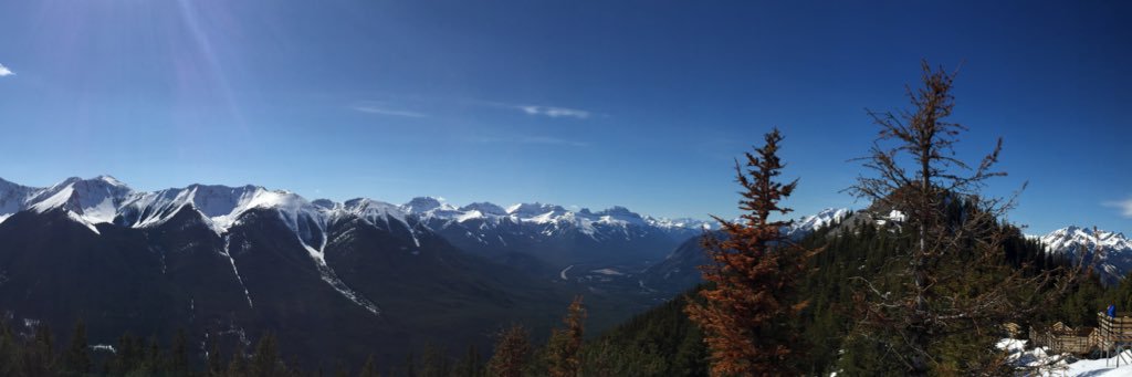 nkendalll's profile banner image