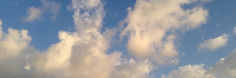 MariaSBarbo's profile banner image