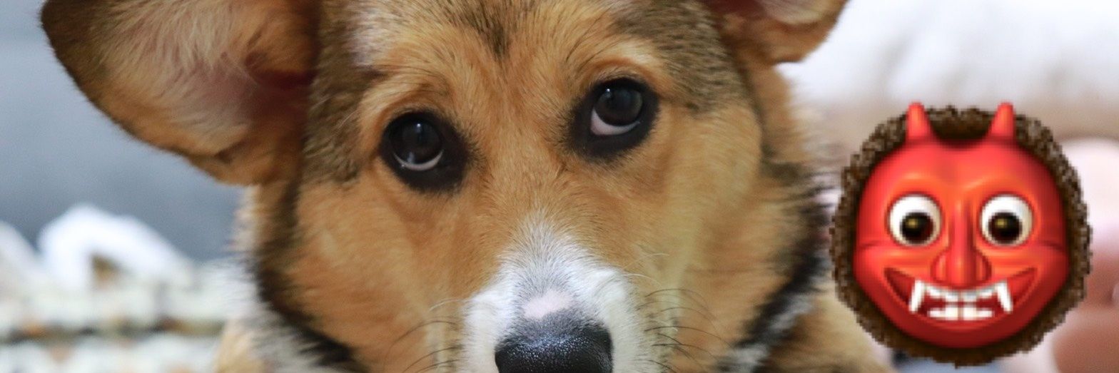 hide banner