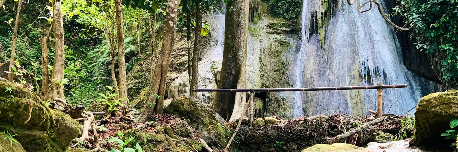 ORCA 🐳 🐬 banner