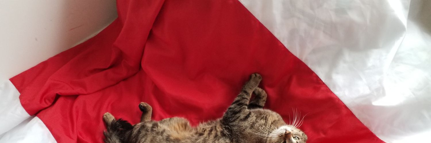 proizvod od ulja banner