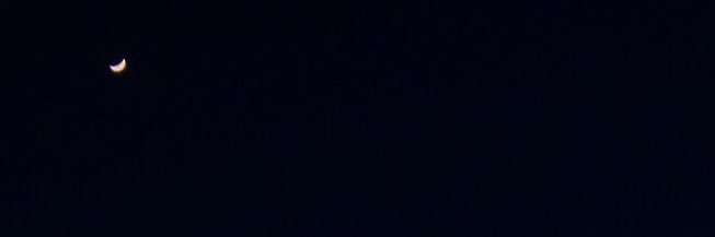 _______nh's profile banner image