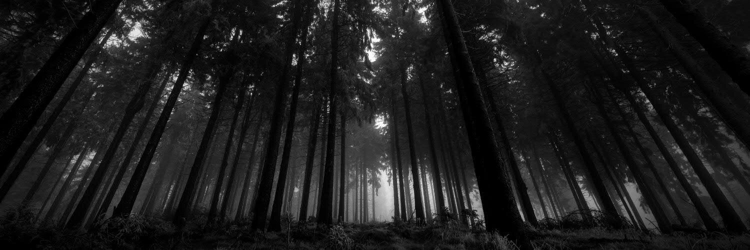 darthfox666's profile banner image