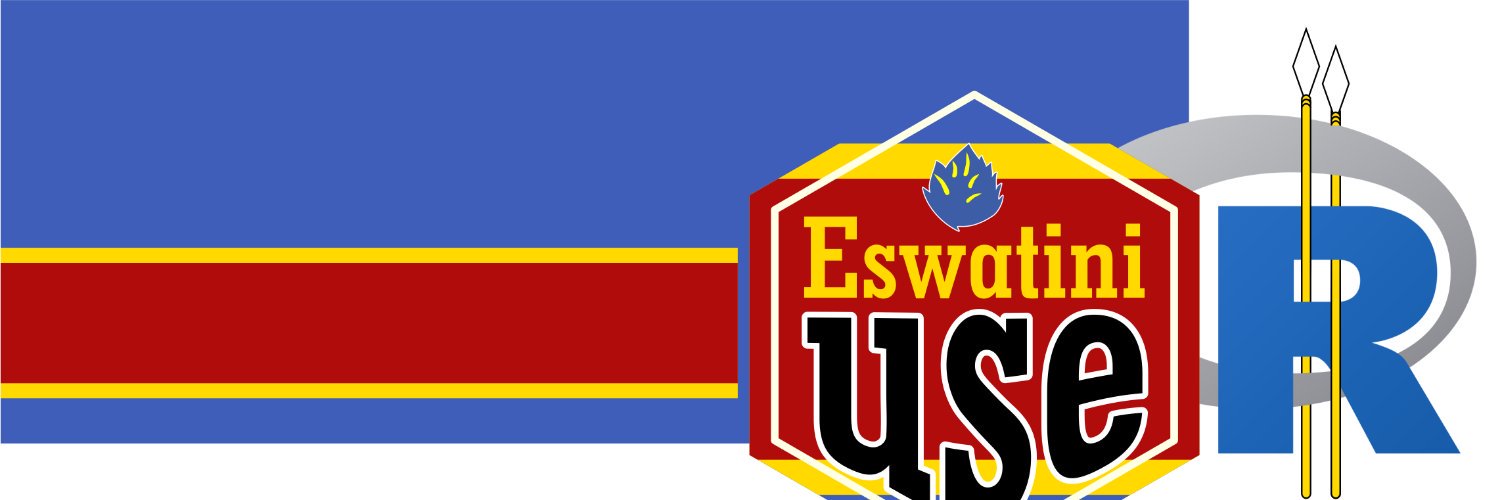 EswatiniUseR banner