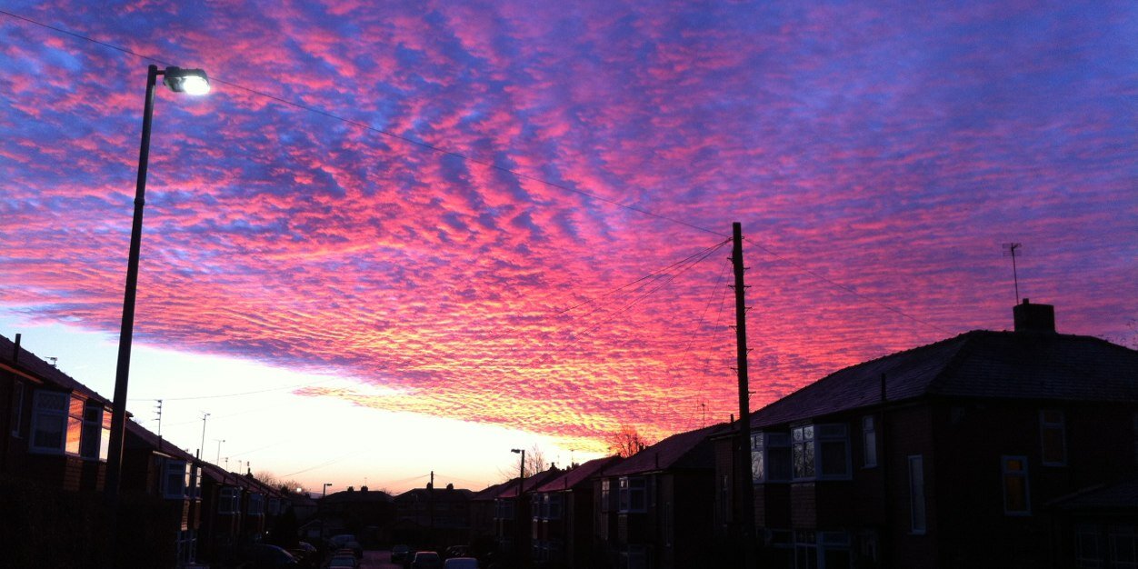 Stacey Jade Lee banner