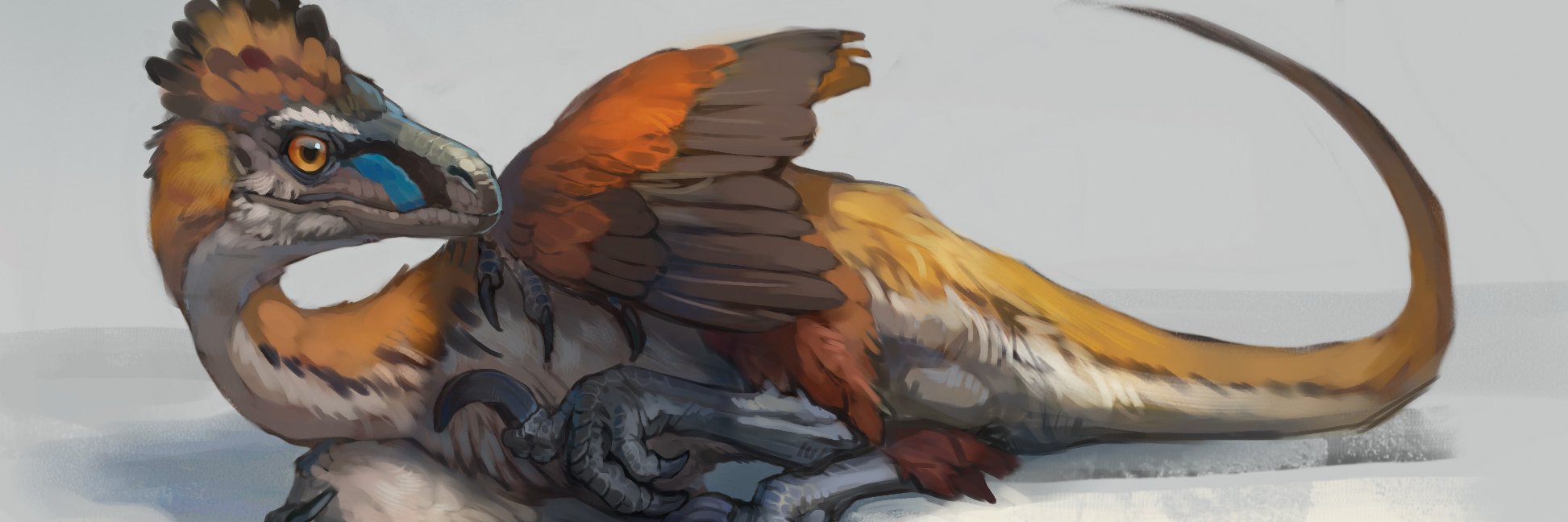 ナブランジャ banner