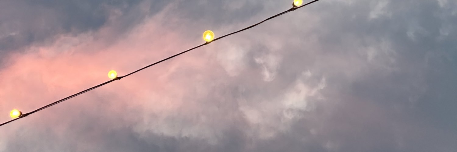 rositaricod's profile banner image