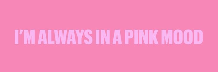 AngiKittens's profile banner image