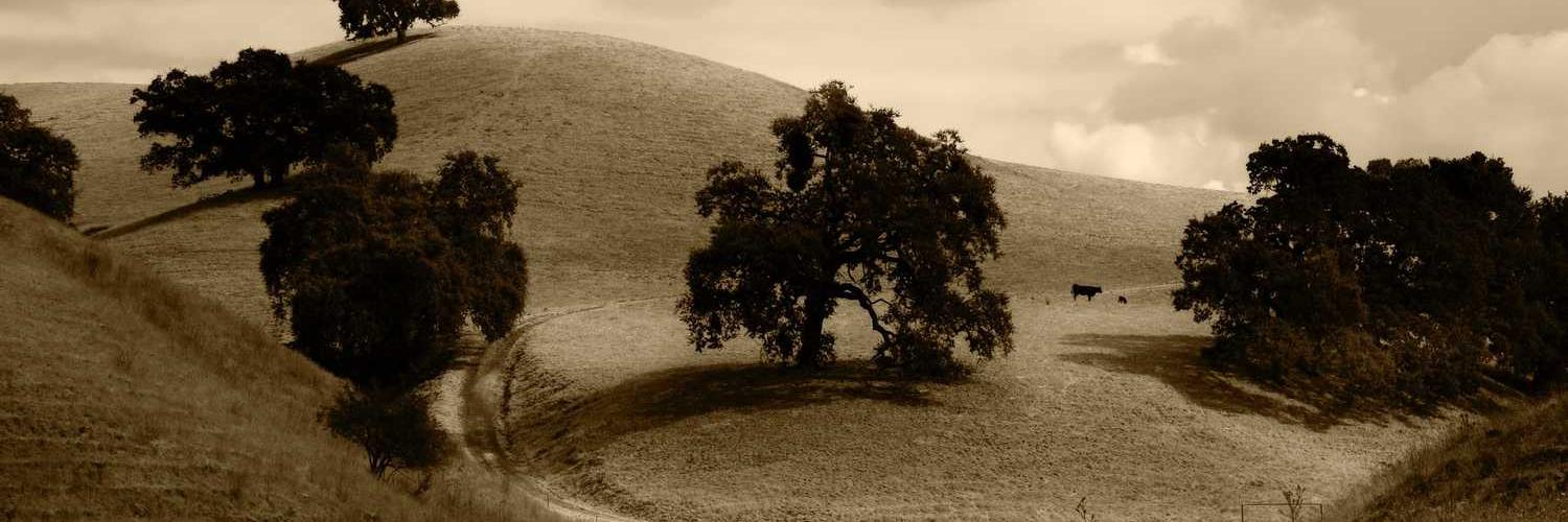 tostkid's profile banner image