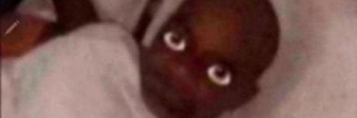 shaayo94's profile banner image