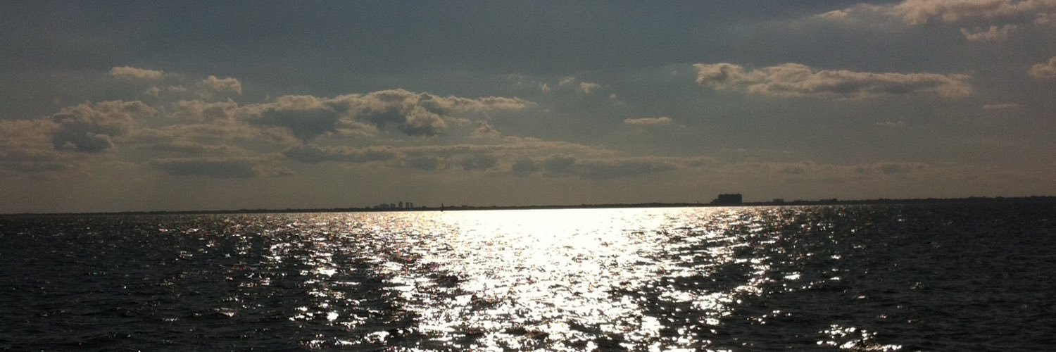 Suzanne Jones banner