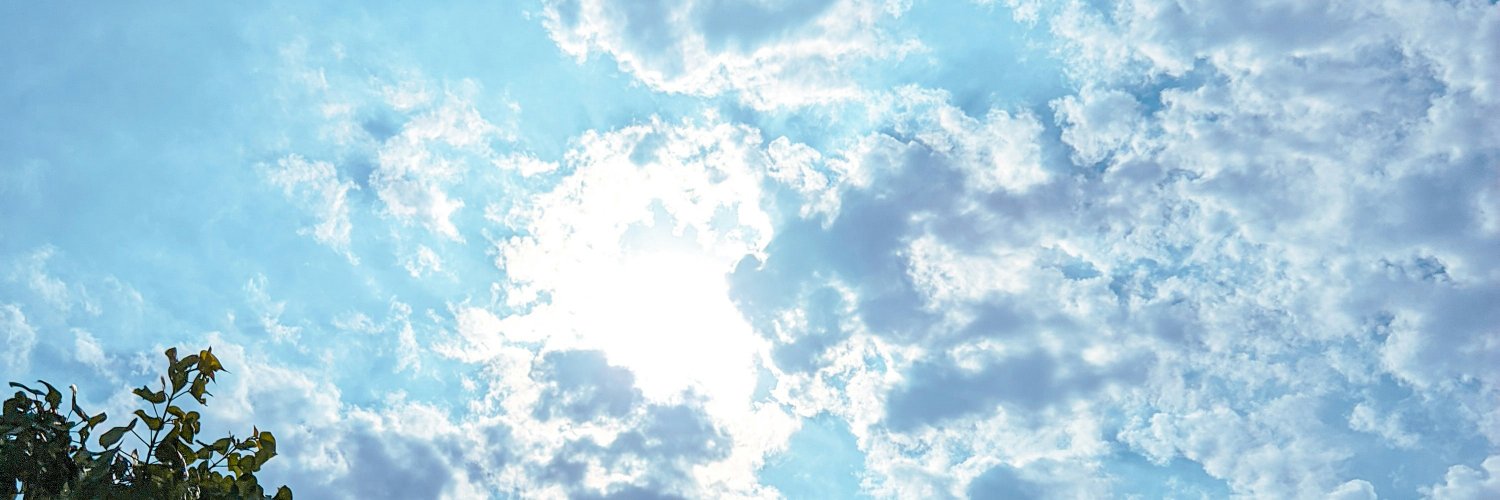Frostgrass's profile banner image