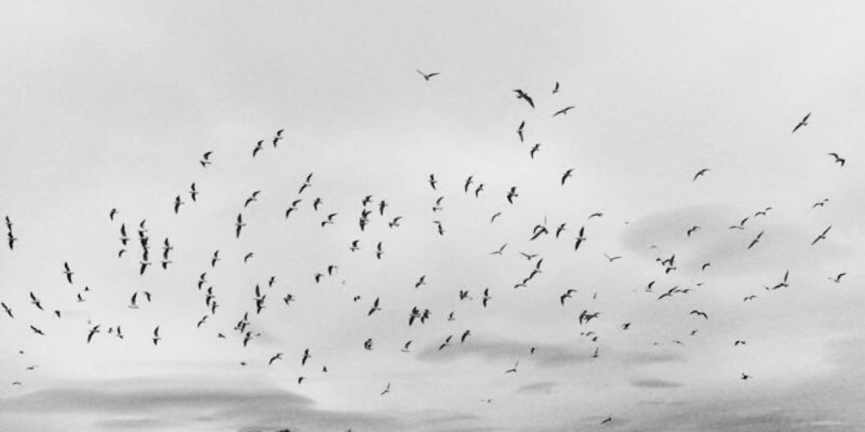 TeregonMaria's profile banner image
