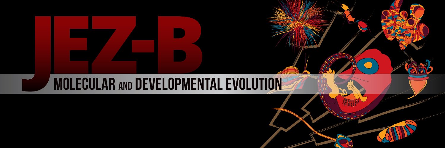 @JEZ-B's banner
