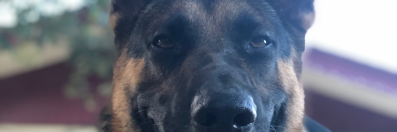 Compadre banner