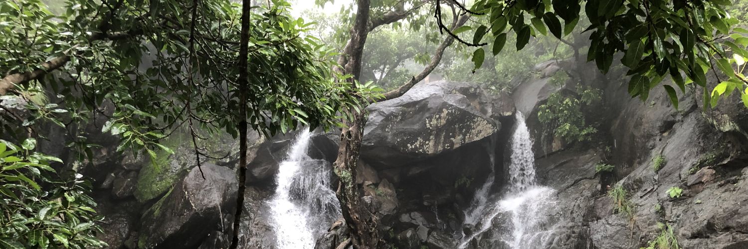 Rhutvijpuri's profile banner image