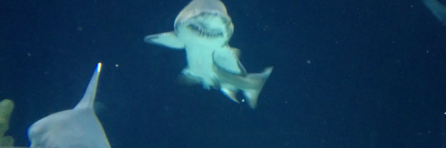 Eric Wilkinson banner