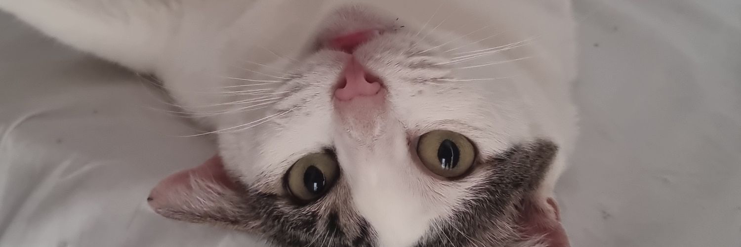 ensosann's profile banner image
