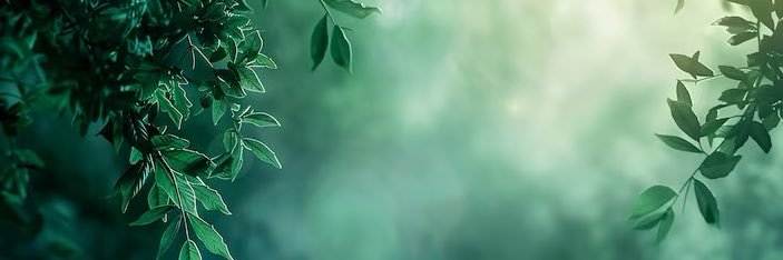 RedFoxLover86's profile banner image