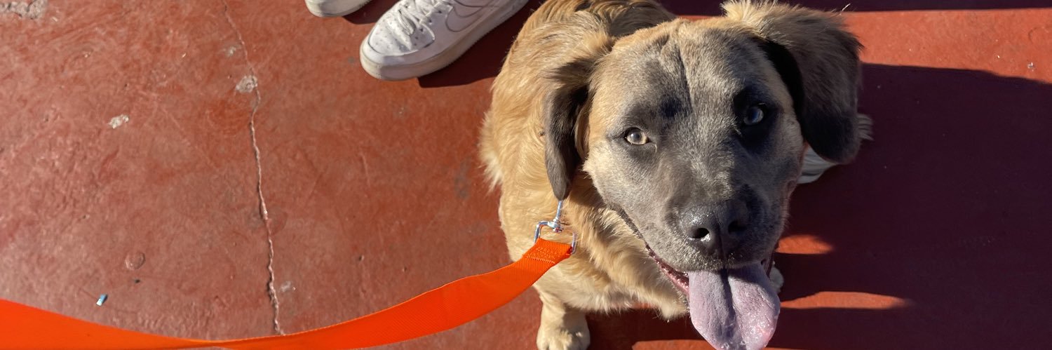 Armando Gonzalez banner