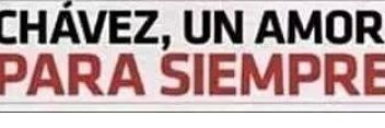 libeliacampos's profile banner image