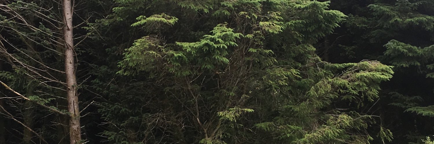 softkit13's profile banner image