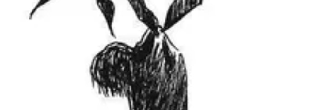 MajorKenneth's profile banner image