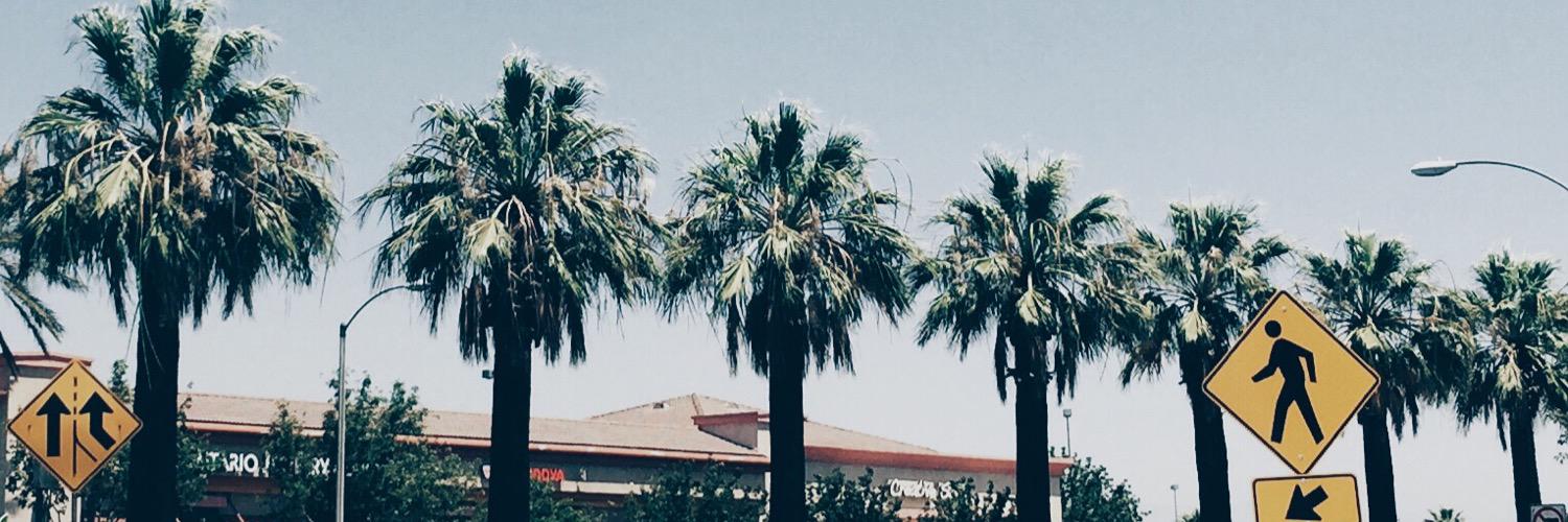 verilymary's profile banner image