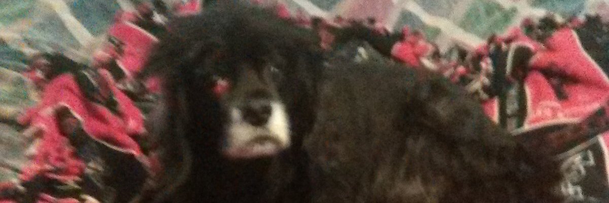 CCC Equipment banner