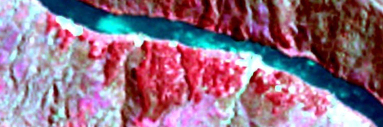 PaulaHait's profile banner image