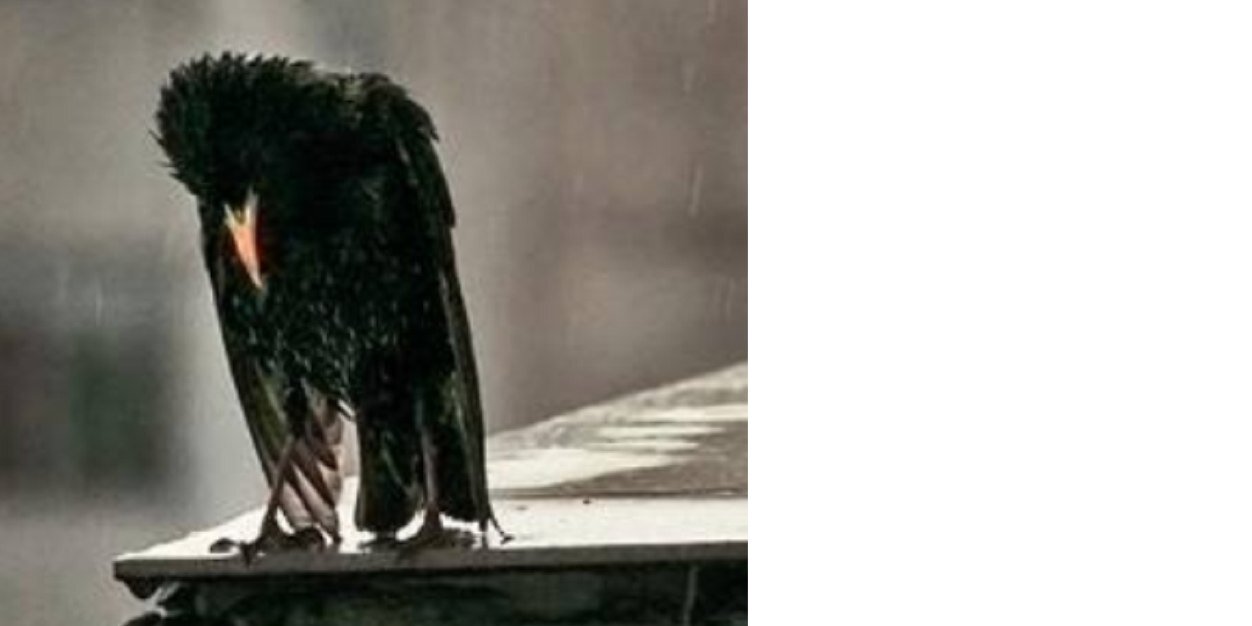 SKavukcu's profile banner image