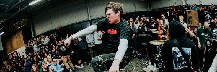 nelsonindipr's profile banner image