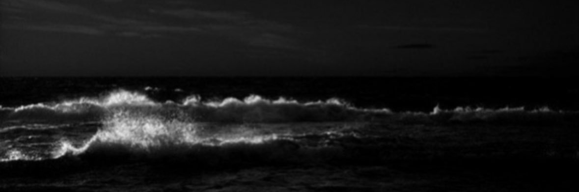 tqqx's profile banner image