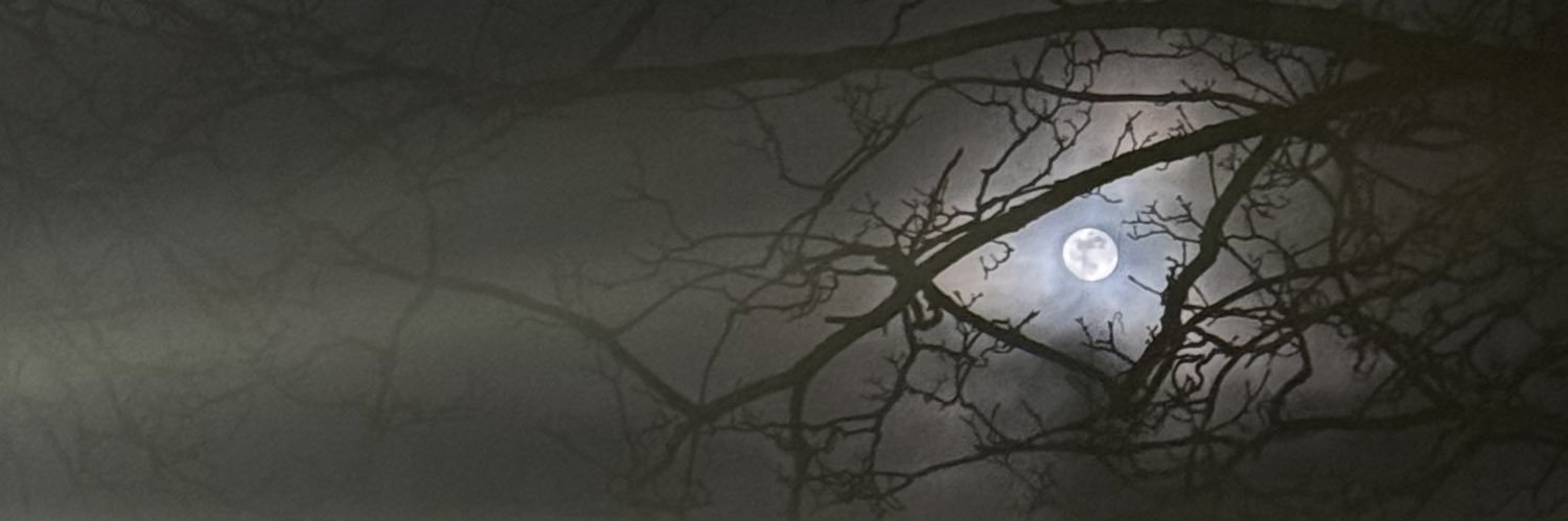 VORMZ banner