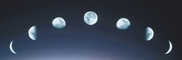 yincov's profile banner image