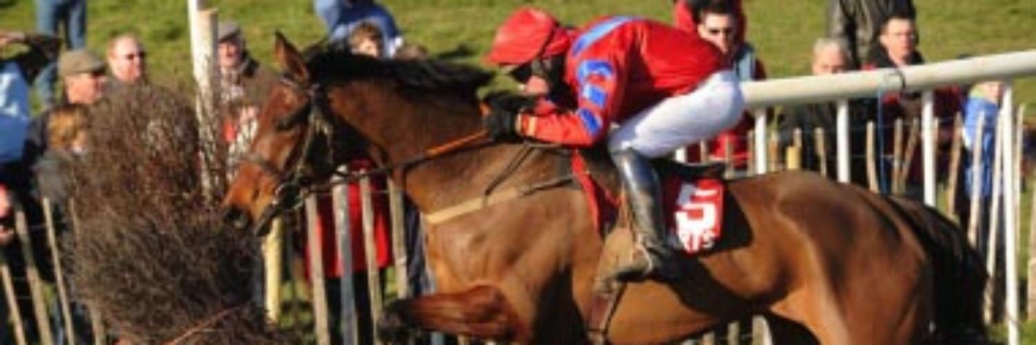 Mikey Fitzgerald banner