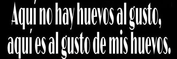 El Burro Psicodélico  banner