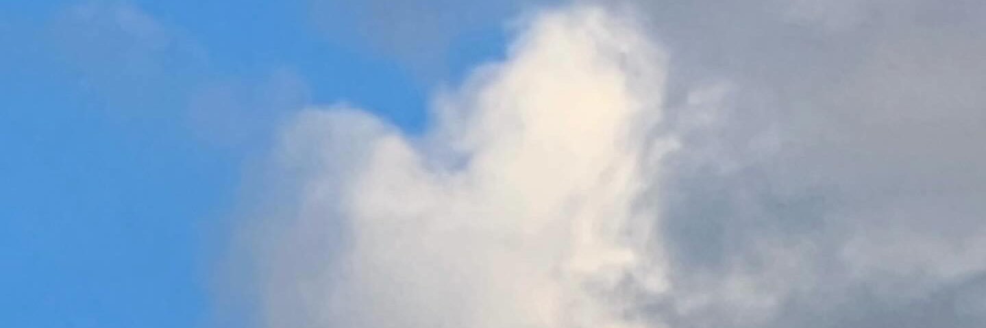 Milk (มิ้ลค์) banner