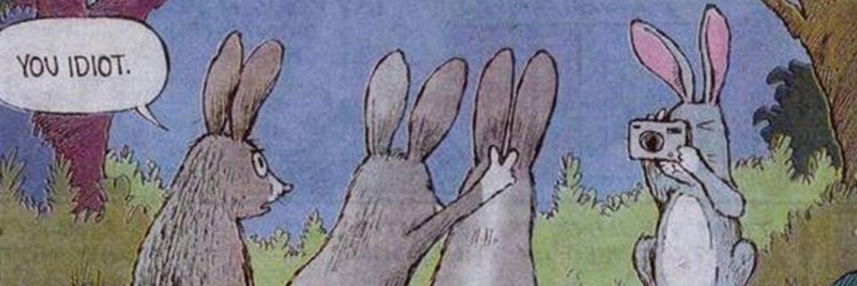 traysealim's profile banner image
